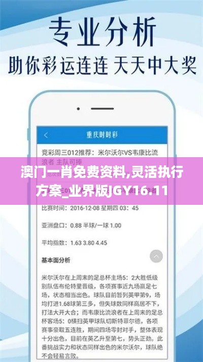 澳门一肖免费资料,灵活执行方案_业界版JGY16.11