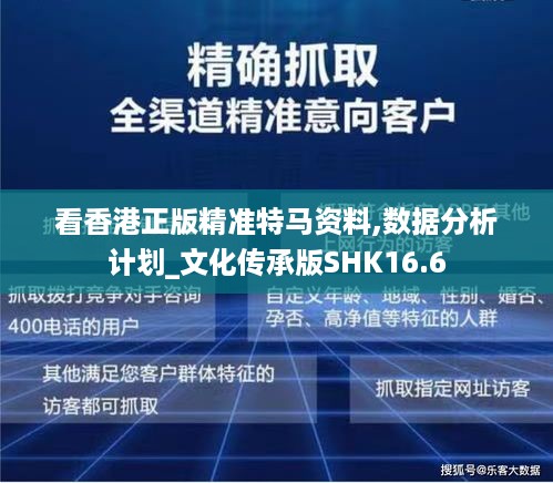 看香港正版精准特马资料,数据分析计划_文化传承版SHK16.6