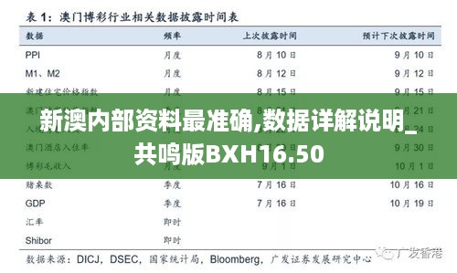 新澳内部资料最准确,数据详解说明_共鸣版BXH16.50