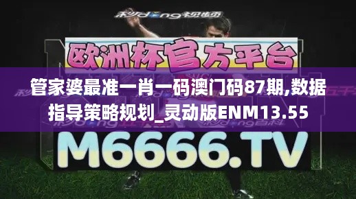 管家婆最准一肖一码澳门码87期,数据指导策略规划_灵动版ENM13.55