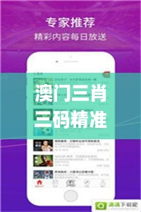 澳门三肖三码精准100%管家婆,专业解读方案实施_迷你版MUM13.19