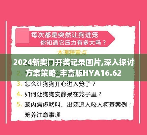 2024新奥门开奖记录图片,深入探讨方案策略_丰富版HYA16.62