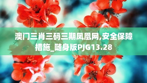 澳门三肖三码三期凤凰网,安全保障措施_随身版PJG13.28