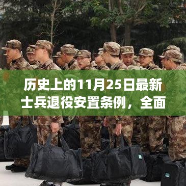 历史上的11月25日士兵退役安置条例深度解读，特性、体验、竞品对比及用户群体分析全解析报告揭秘！