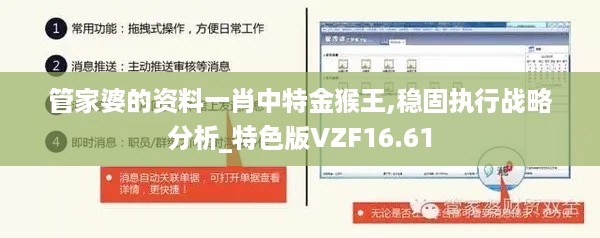 管家婆的资料一肖中特金猴王,稳固执行战略分析_特色版VZF16.61