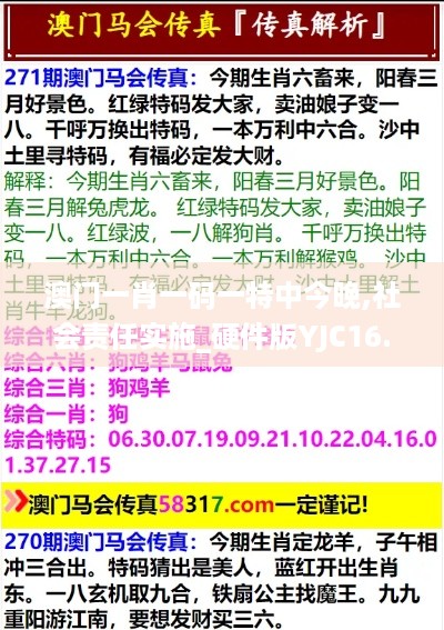 澳门一肖一码一特中今晚,社会责任实施_硬件版YJC16.39