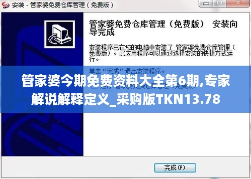 管家婆今期免费资料大全第6期,专家解说解释定义_采购版TKN13.78