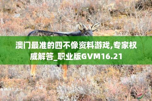 澳门最准的四不像资料游戏,专家权威解答_职业版GVM16.21