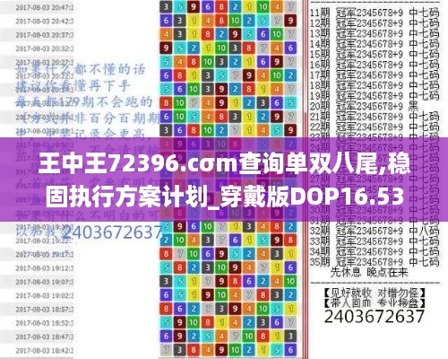 王中王72396.cσm查询单双八尾,稳固执行方案计划_穿戴版DOP16.53