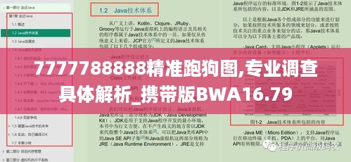 7777788888精准跑狗图,专业调查具体解析_携带版BWA16.79