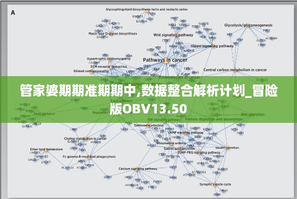 管家婆期期准期期中,数据整合解析计划_冒险版OBV13.50