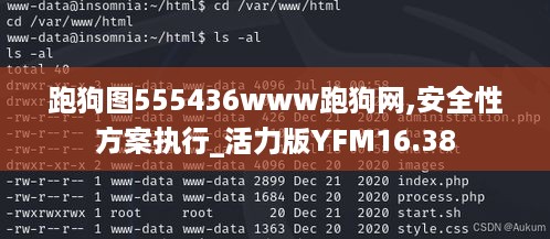 跑狗图555436www跑狗网,安全性方案执行_活力版YFM16.38