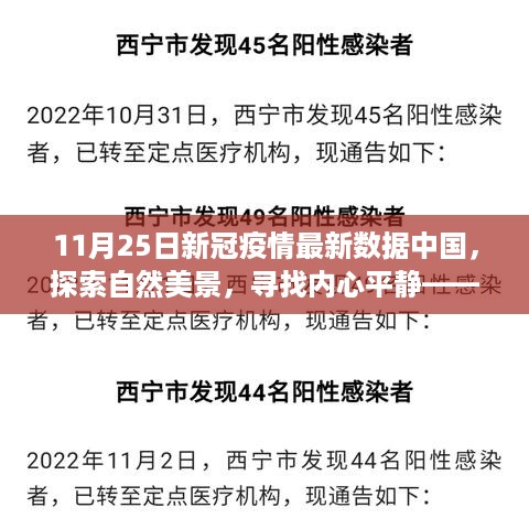 中国疫情最新数据下的自然探索与心灵之旅（11月25日最新观察）