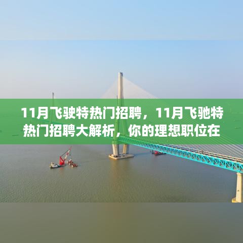 11月飞驶特热门招聘解析，理想职位等你来挑战！