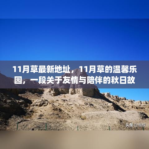 秋日友情与陪伴，11月草的温馨乐园最新地址