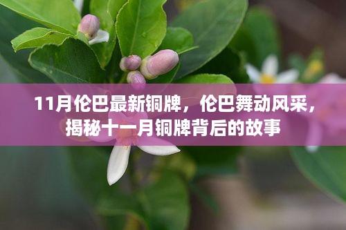 揭秘伦巴铜牌背后的故事，舞动风采展现十一月荣耀时刻