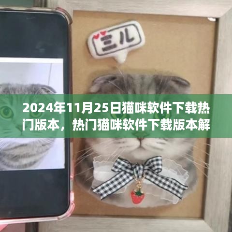 2024年11月25日热门猫咪软件下载版本解析与综述