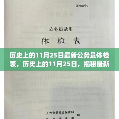 揭秘，最新公务员体检表的演变与要求——历史上的11月25日回顾