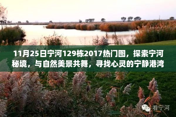 探索宁河秘境，宁河129栋热门图，与自然美景共舞的心灵港湾（11月25日）