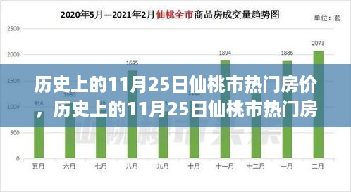 历史上的11月25日仙桃市热门房价深度解析与评测报告