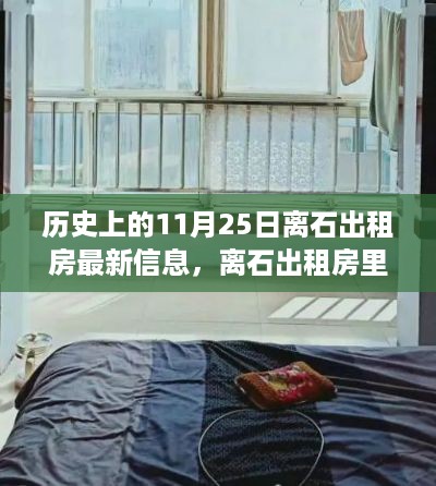 离石出租房，温馨故事与奇遇的相遇日——11月25日最新信息回顾