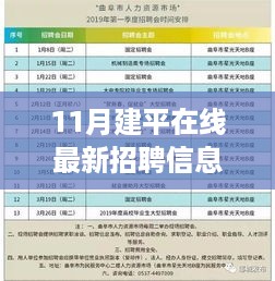 建平在线11月最新招聘信息发布，求职路上的机遇与友情故事