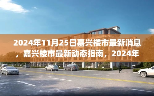 2024年11月25日嘉兴楼市最新动态全解析，获取与解读楼市消息指南