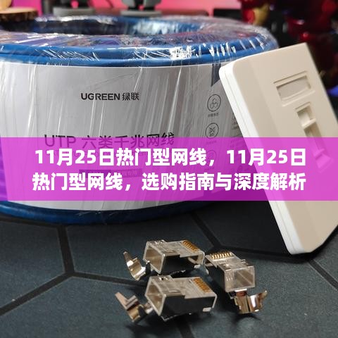 11月25日热门型网线选购指南与深度解析