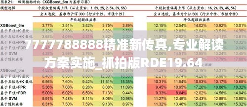 7777788888精准新传真,专业解读方案实施_抓拍版RDE19.64