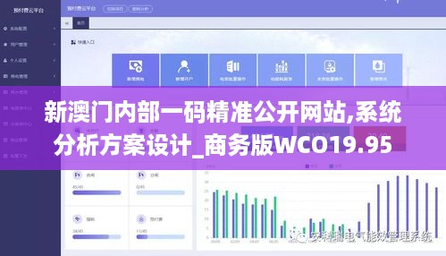 新澳门内部一码精准公开网站,系统分析方案设计_商务版WCO19.95