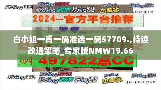 白小姐一肖一码准选一码57709.,持续改进策略_专家版NMW19.66