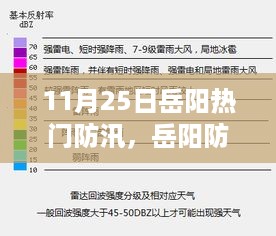 岳阳防汛实战解析，利器表现与体验深度探讨