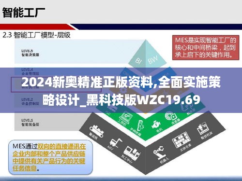 2024新奥精准正版资料,全面实施策略设计_黑科技版WZC19.69