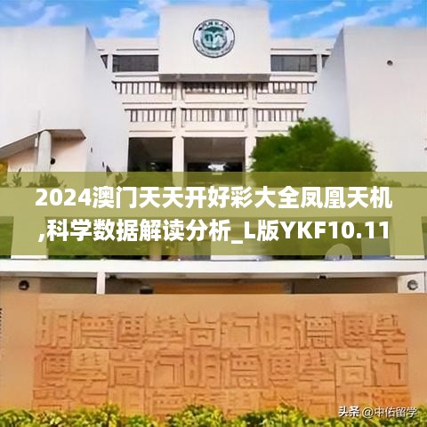 2024澳门天天开好彩大全凤凰天机,科学数据解读分析_L版YKF10.11