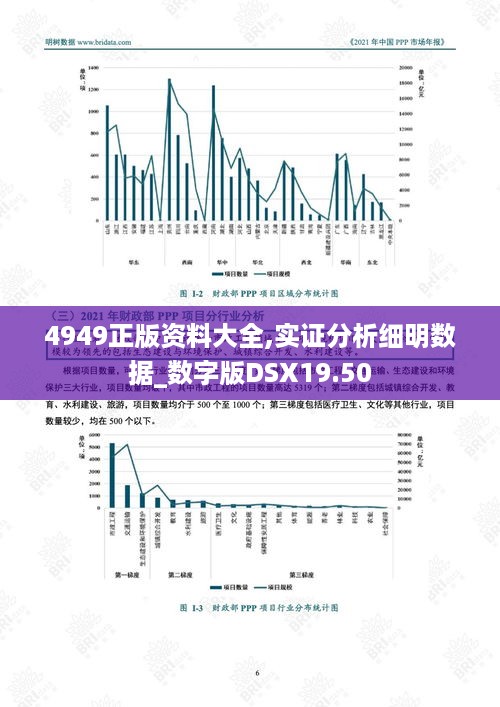 4949正版资料大全,实证分析细明数据_数字版DSX19.50