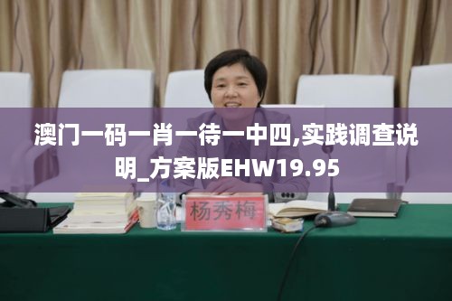 澳门一码一肖一待一中四,实践调查说明_方案版EHW19.95