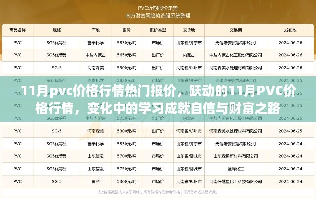 跃动的PVC价格行情，揭秘11月行情热门报价，洞悉市场变化成就财富之路