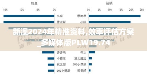 新澳2024年精准资料,效率评估方案_多媒体版PLW19.74