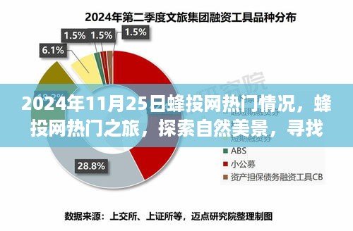 蜂投网热门之旅，探索自然美景，心灵净土的探寻（2024年11月25日热点速递）