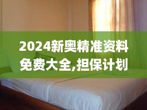 2024新奥精准资料免费大全,担保计划执行法策略_桌面款PFE19.6