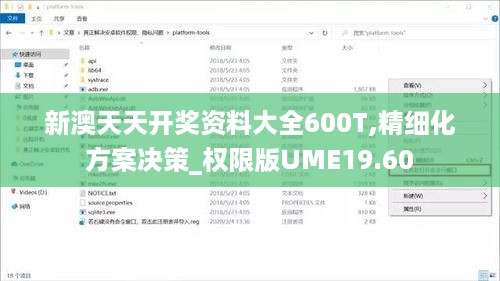 新澳天天开奖资料大全600T,精细化方案决策_权限版UME19.60