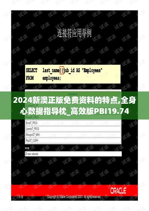 2024新澳正版免费资料的特点,全身心数据指导枕_高效版PBI19.74