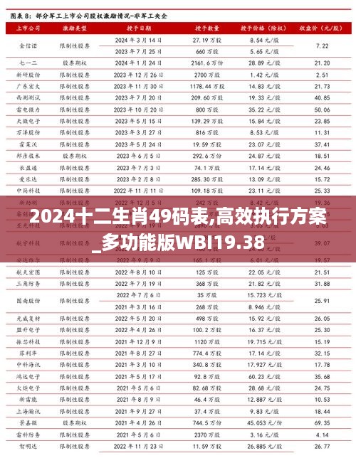 2024十二生肖49码表,高效执行方案_多功能版WBI19.38