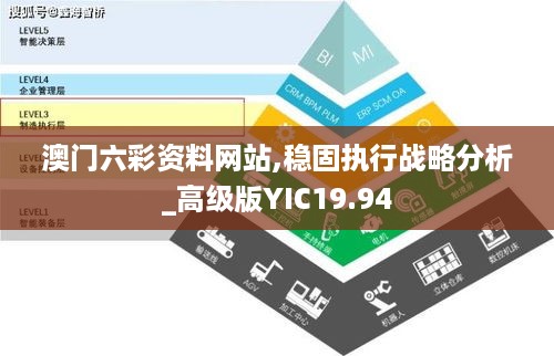 澳门六彩资料网站,稳固执行战略分析_高级版YIC19.94