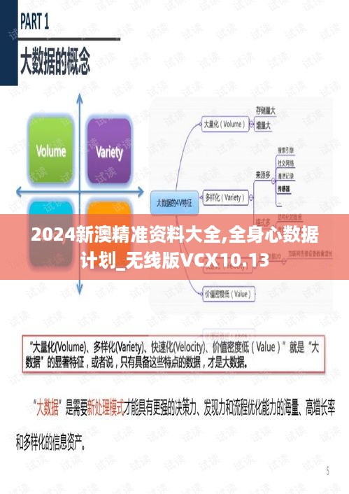 2024新澳精准资料大全,全身心数据计划_无线版VCX10.13