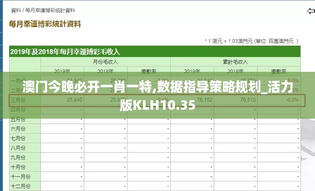 澳门今晚必开一肖一特,数据指导策略规划_活力版KLH10.35