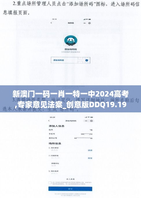 新澳门一码一肖一特一中2024高考,专家意见法案_创意版DDQ19.19