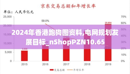 2024年香港跑狗图资料,电网规划发展目标_nShopPZN10.65