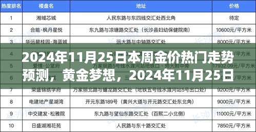 黄金梦想与炼金之旅，揭秘2024年11月25日金价走势预测与自我成长之路