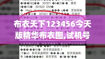 布衣天下123456今天版精华布衣图,试机号码,社会责任实施_桌面款RIF10.60